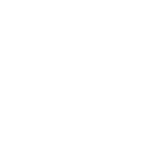 fun-icon