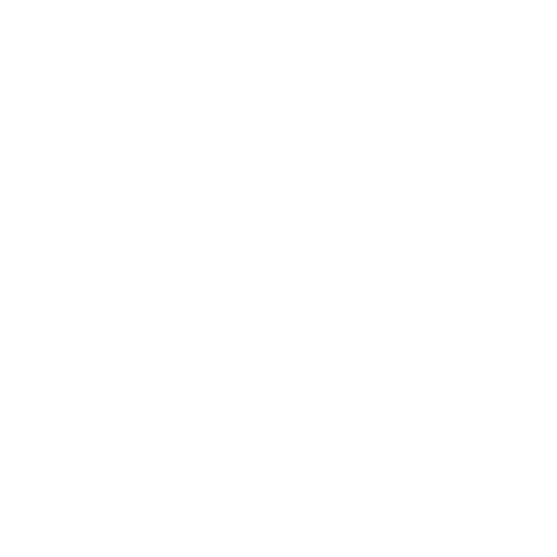 fun-icon