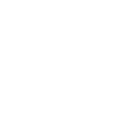 fun-icon